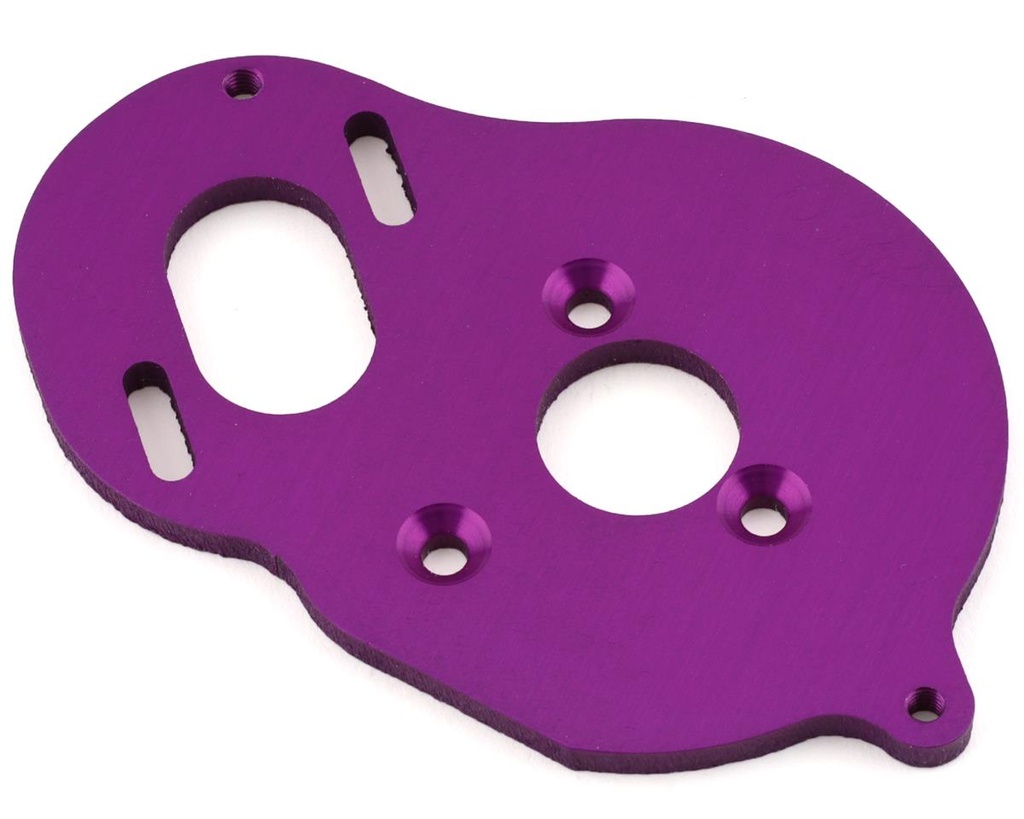 175RC Associated DR10 Aluminum Motor Plate (Purple)